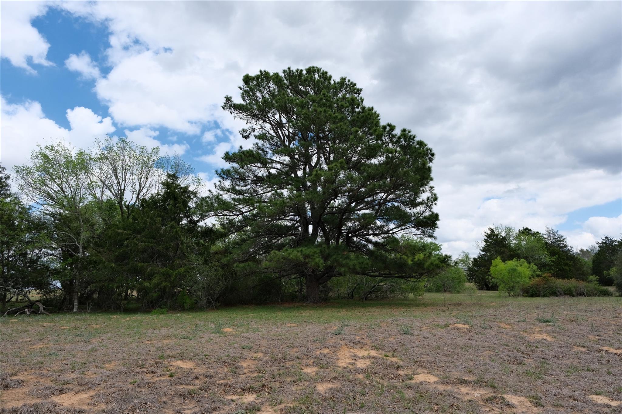 446 Herron Trail Mcdade TX 78650