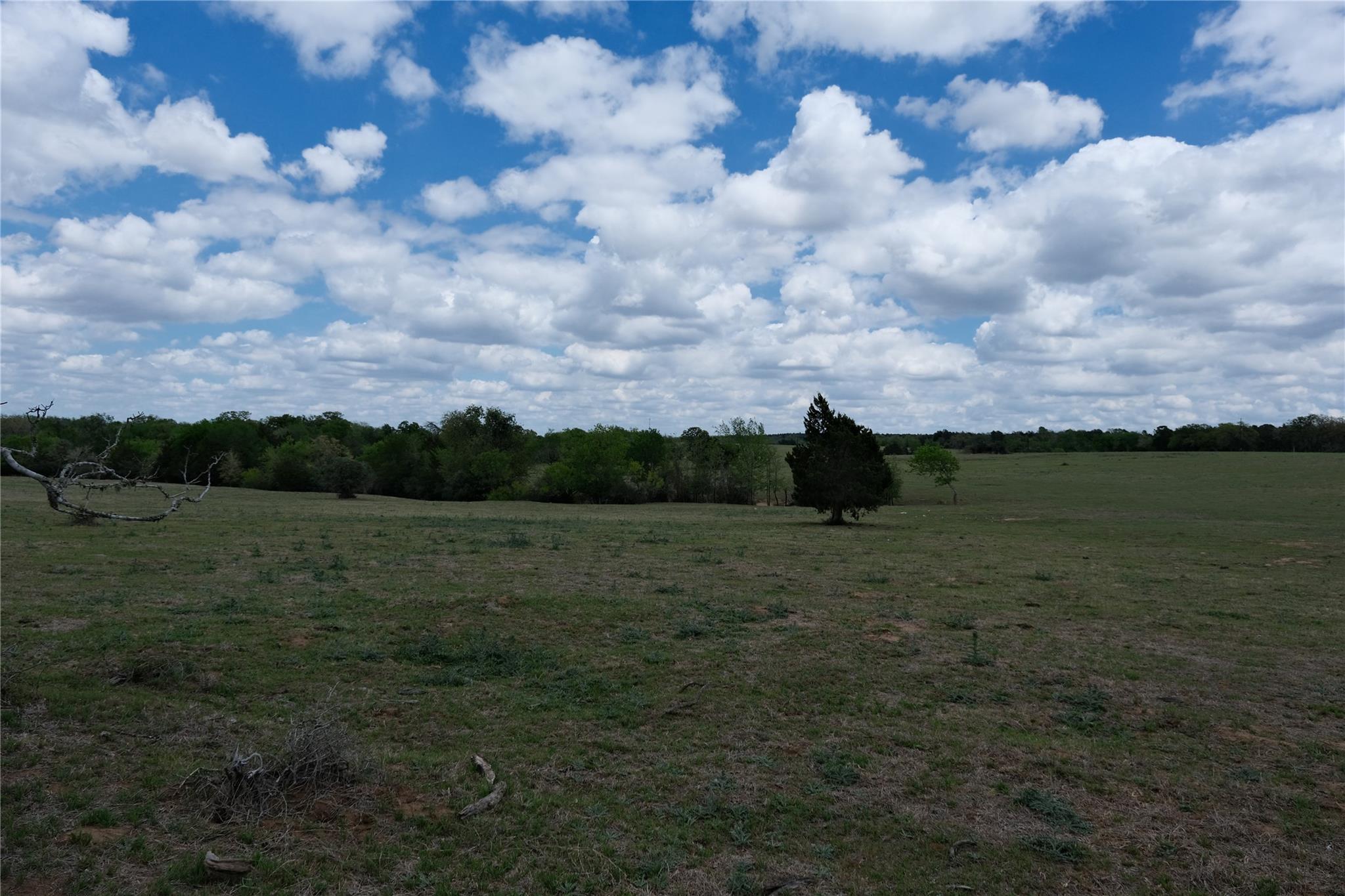 446 Herron Trail Mcdade TX 78650