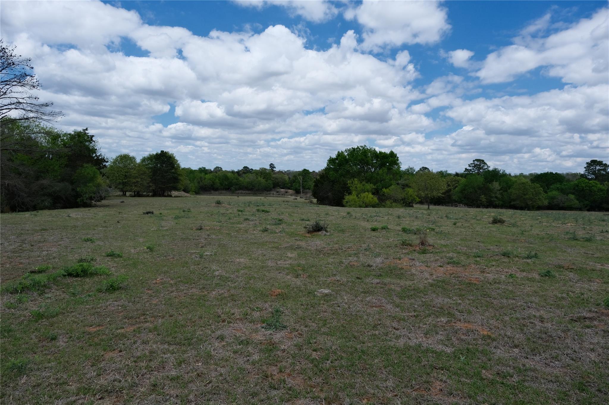 446 Herron Trail Mcdade TX 78650