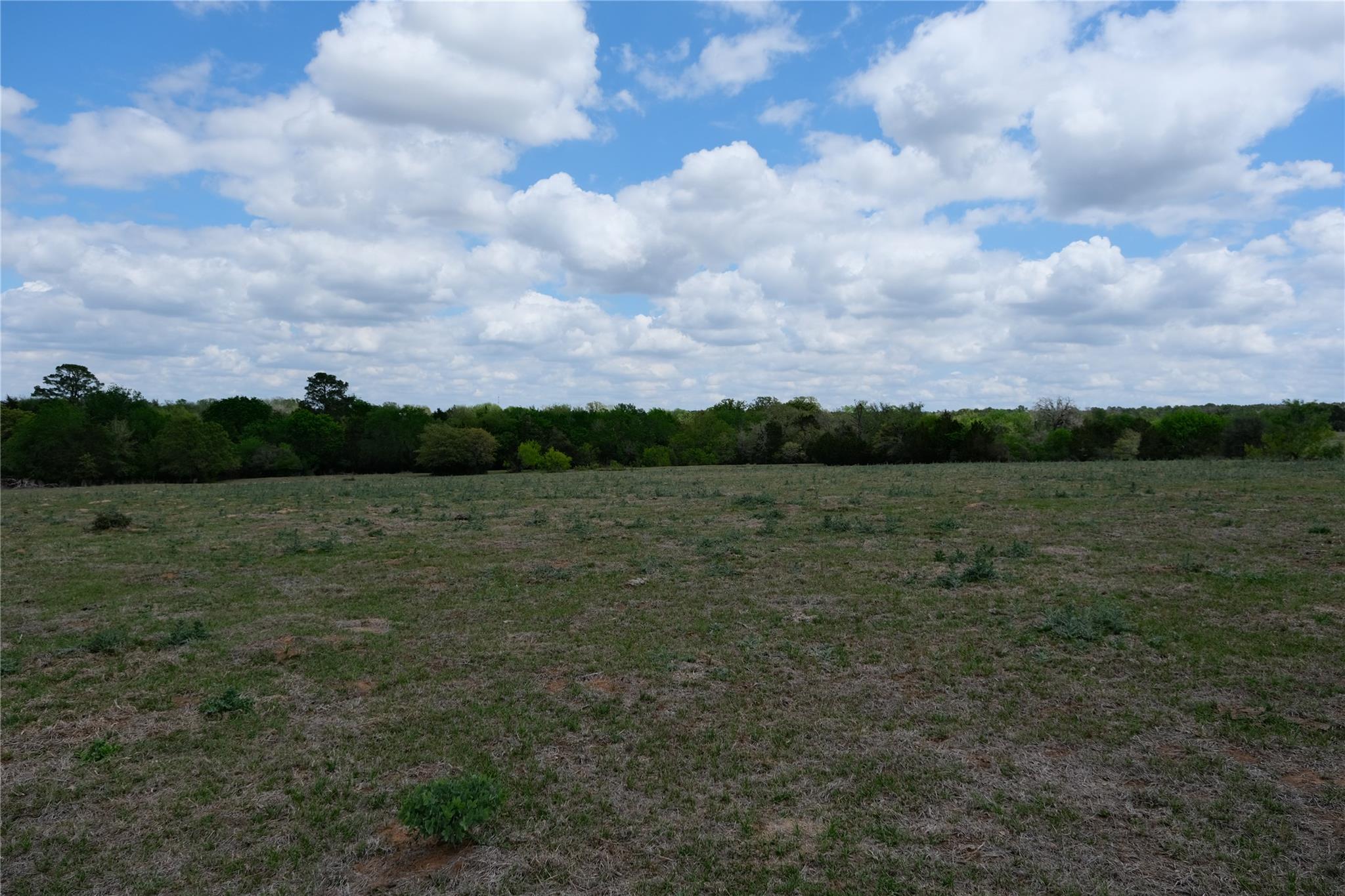 446 Herron Trail Mcdade TX 78650