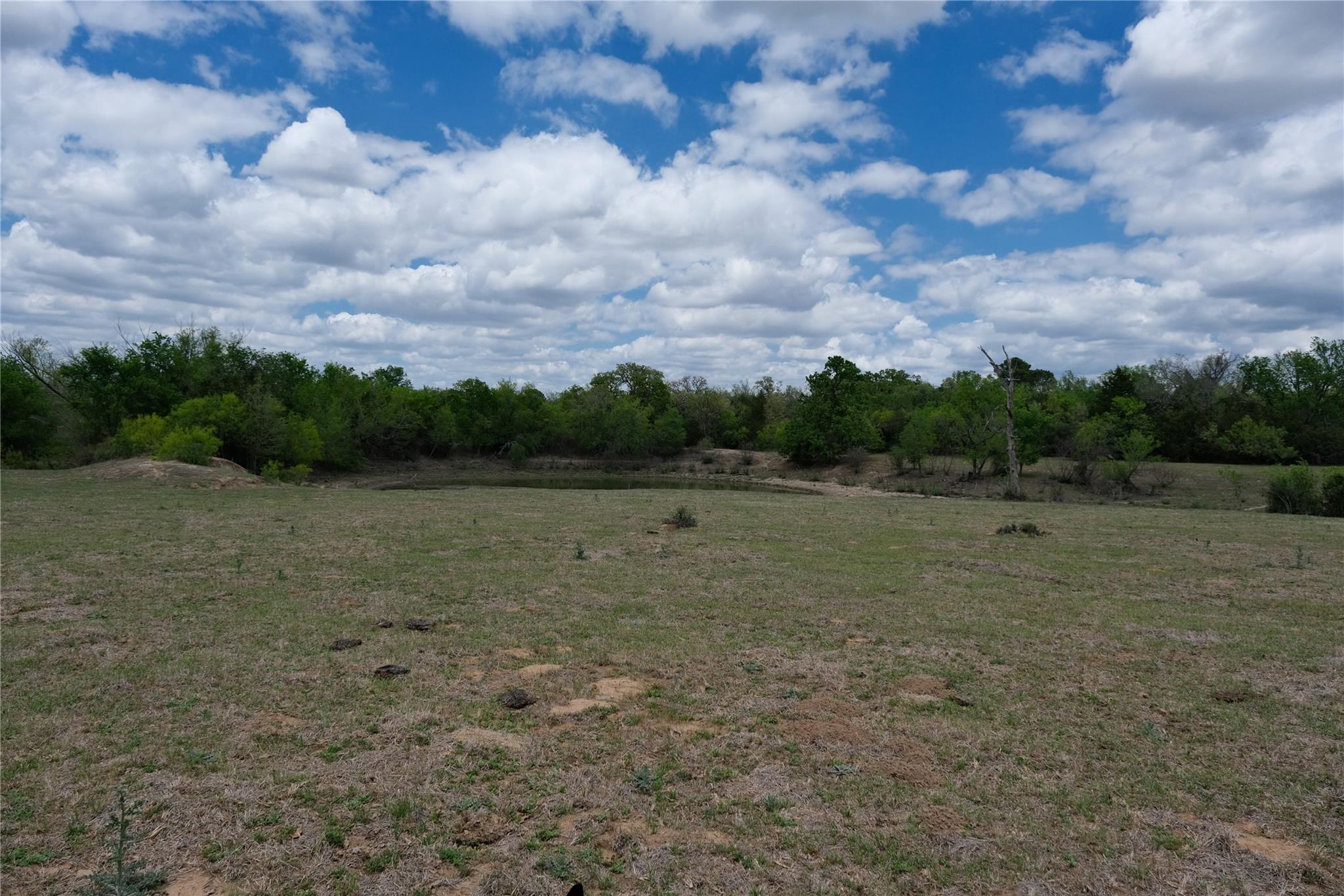 446 Herron Trail Mcdade TX 78650