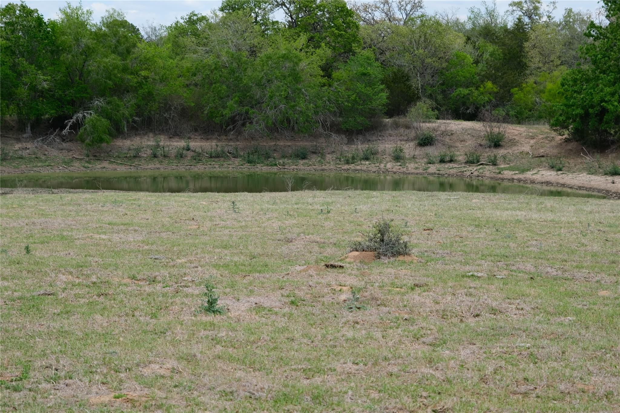 446 Herron Trail Mcdade TX 78650