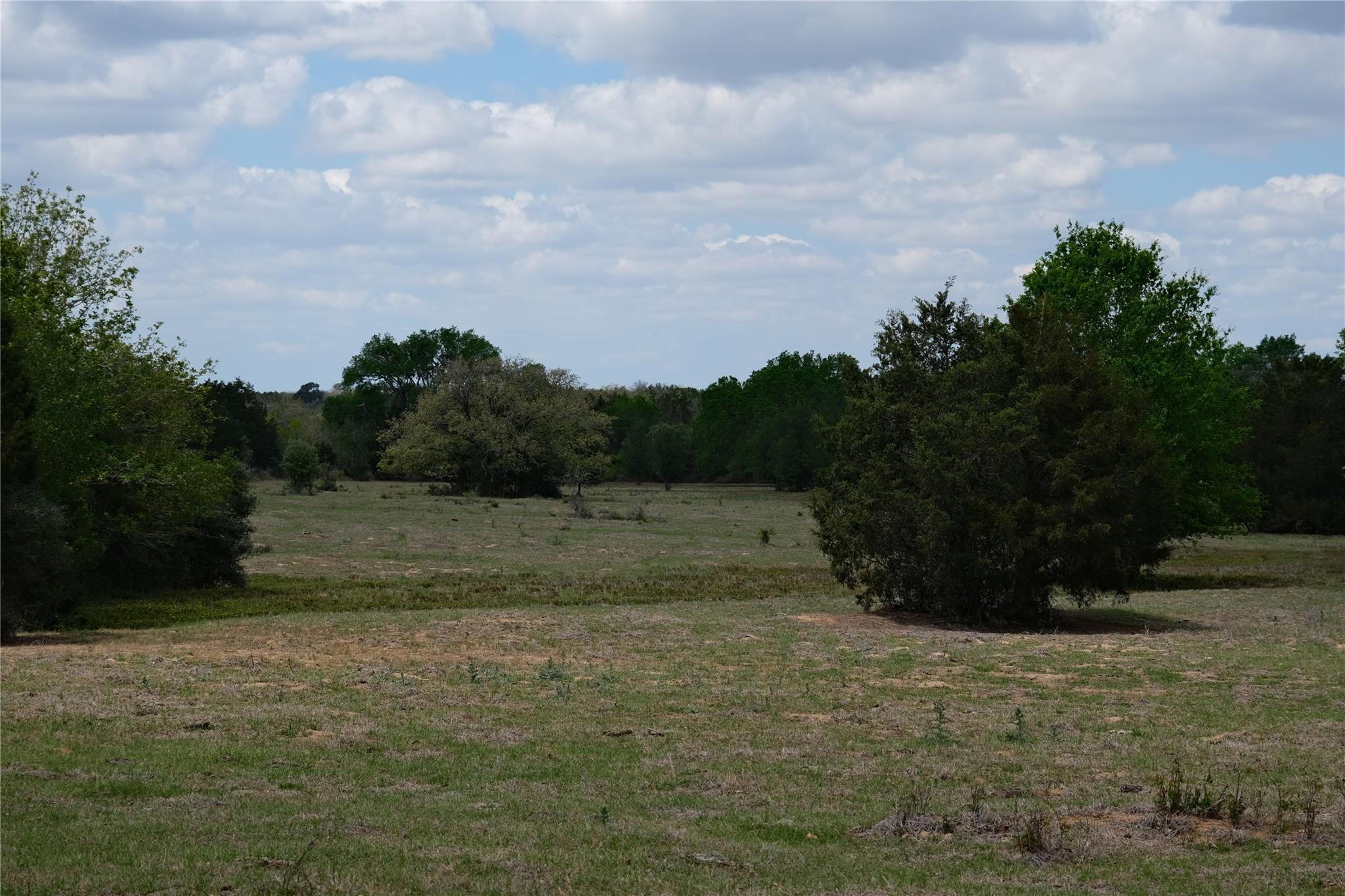 446 Herron Trail Mcdade TX 78650