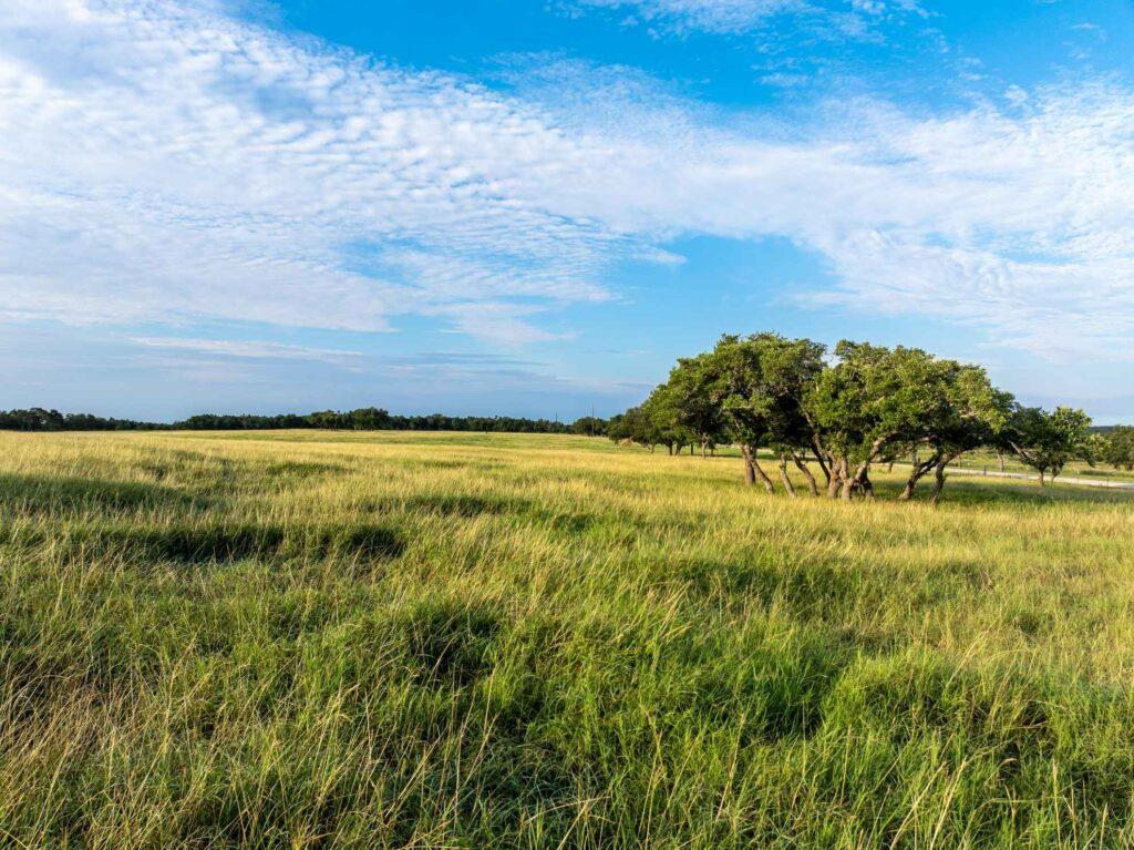 Tbd Mount Sharp Road Wimberley TX 78676