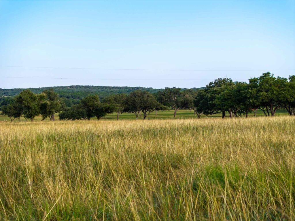 Tbd Mount Sharp Road Wimberley TX 78676
