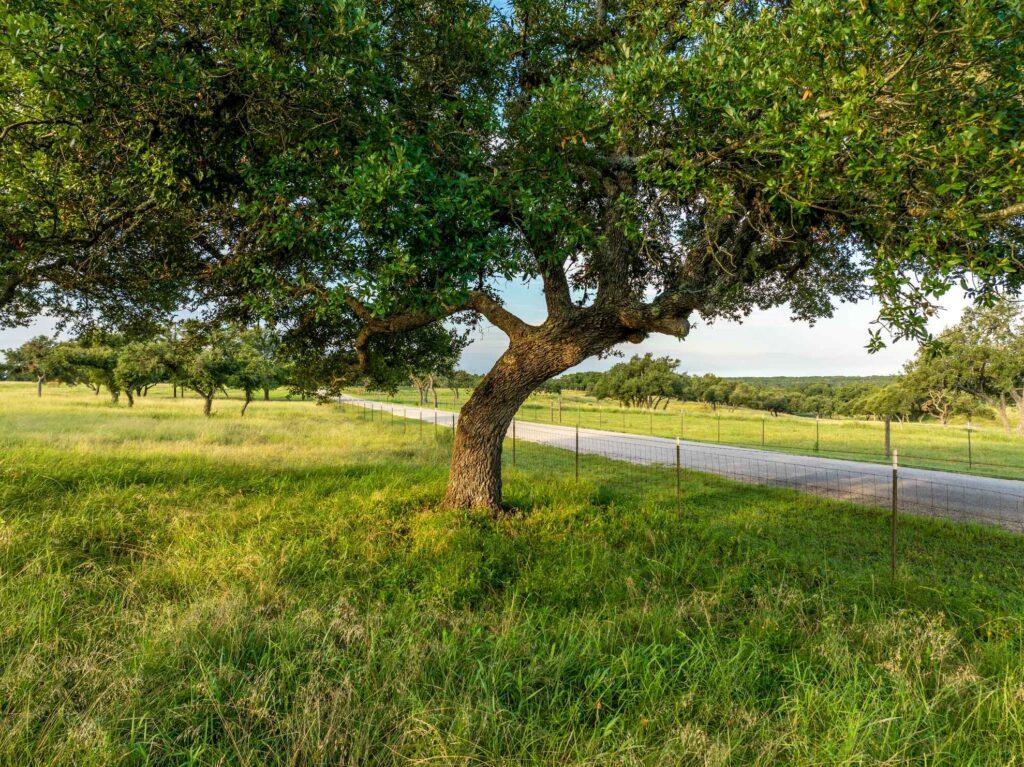 Tbd Mount Sharp Road Wimberley TX 78676