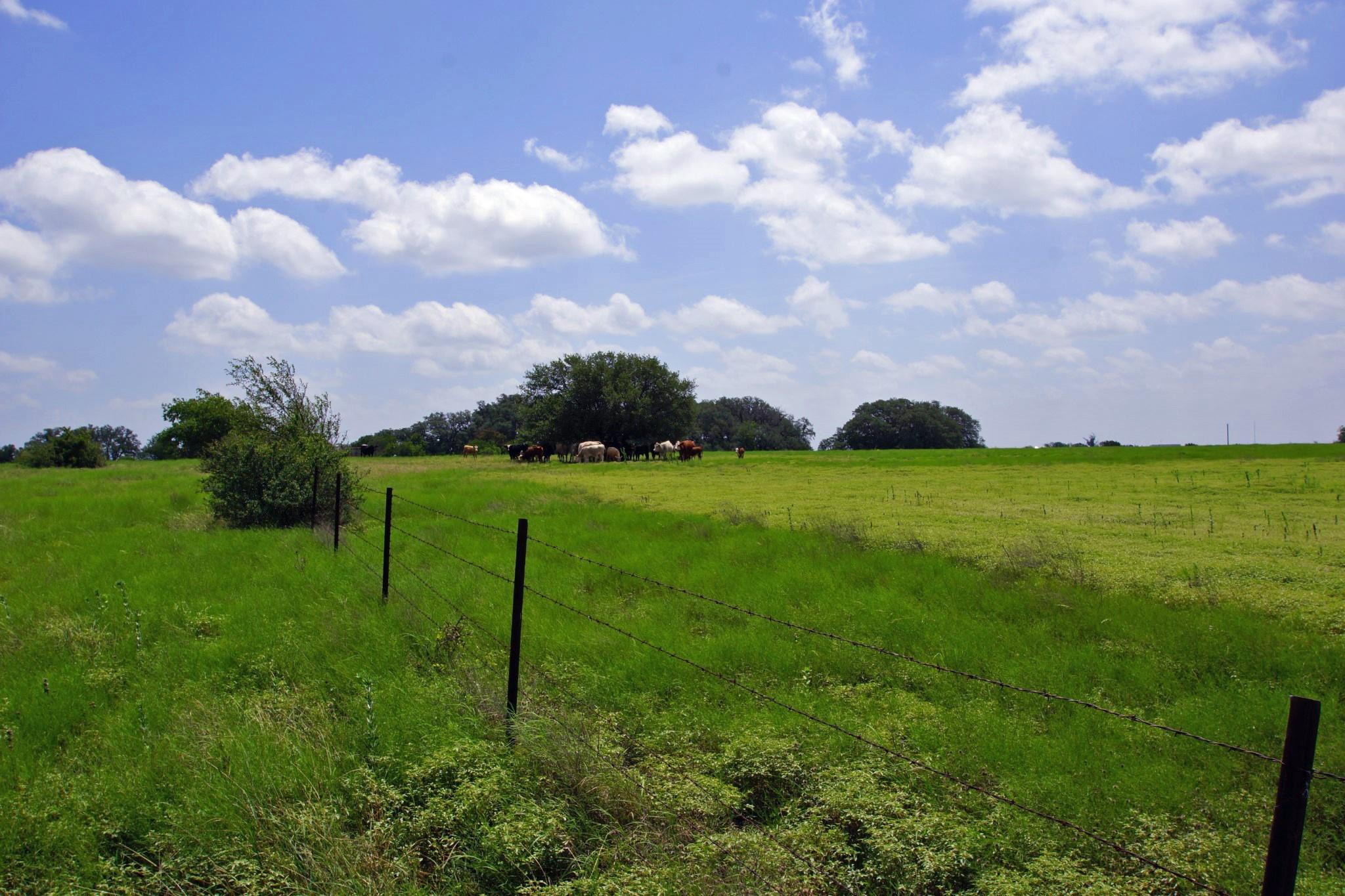 2002 County Road 276 Bertram TX 78605