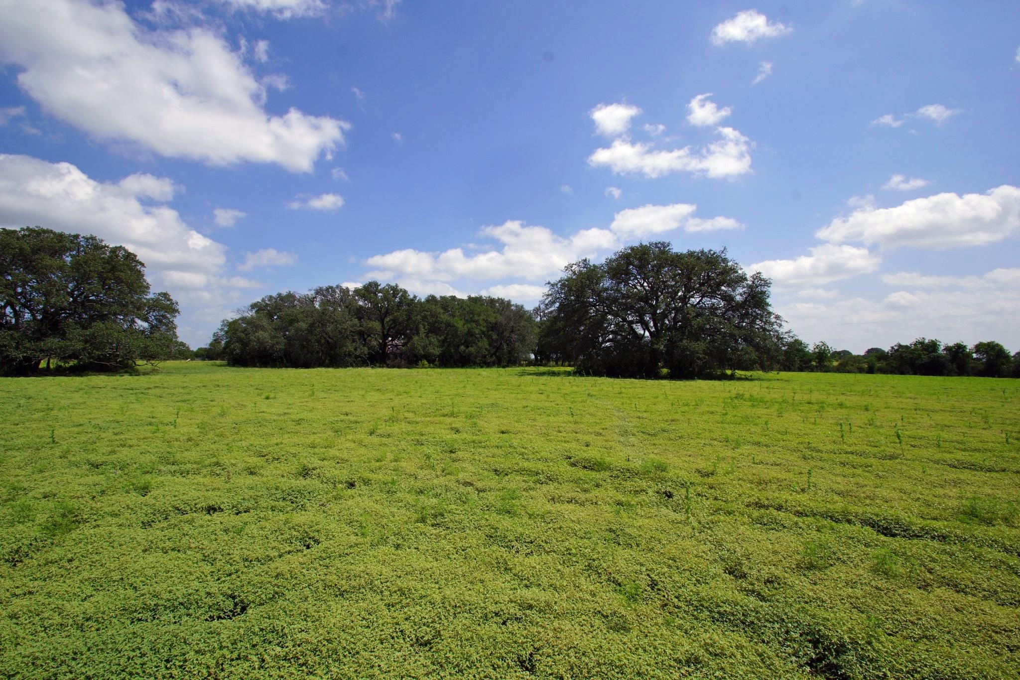 2002 County Road 276 Bertram TX 78605