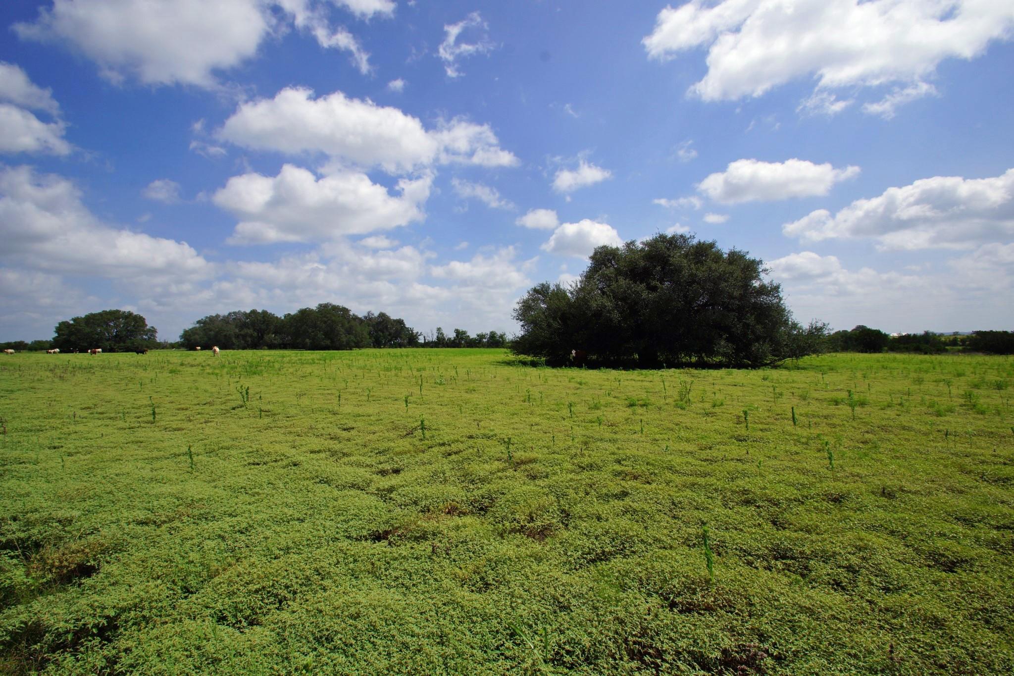 2002 County Road 276 Bertram TX 78605