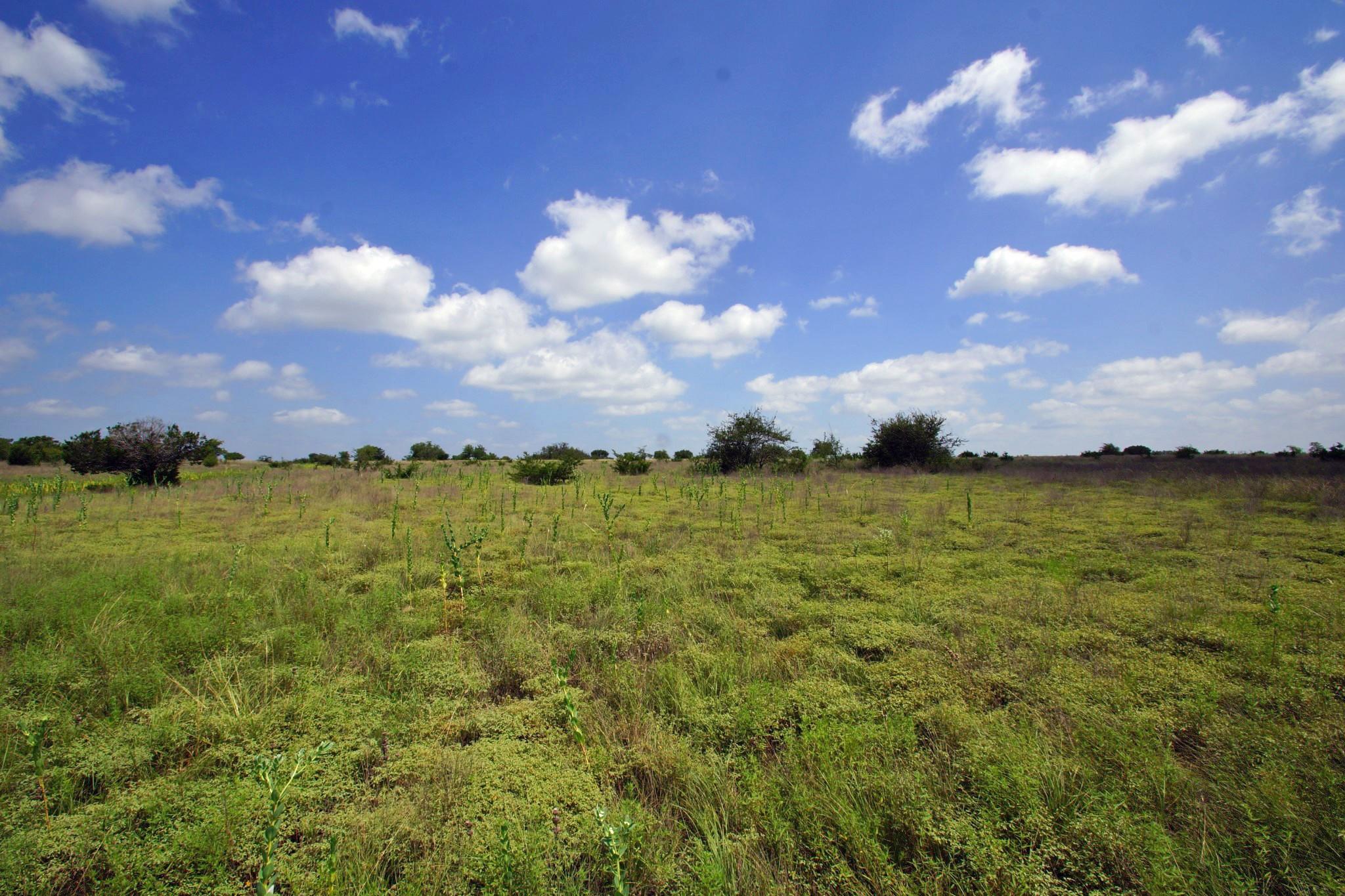 2002 County Road 276 Bertram TX 78605