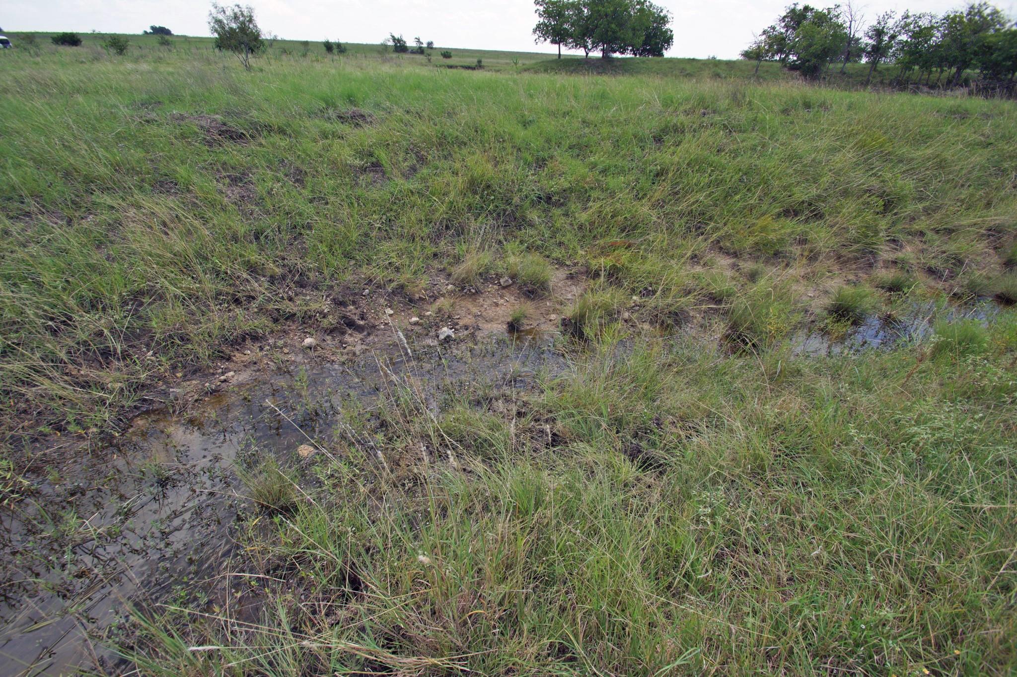 2002 County Road 276 Bertram TX 78605