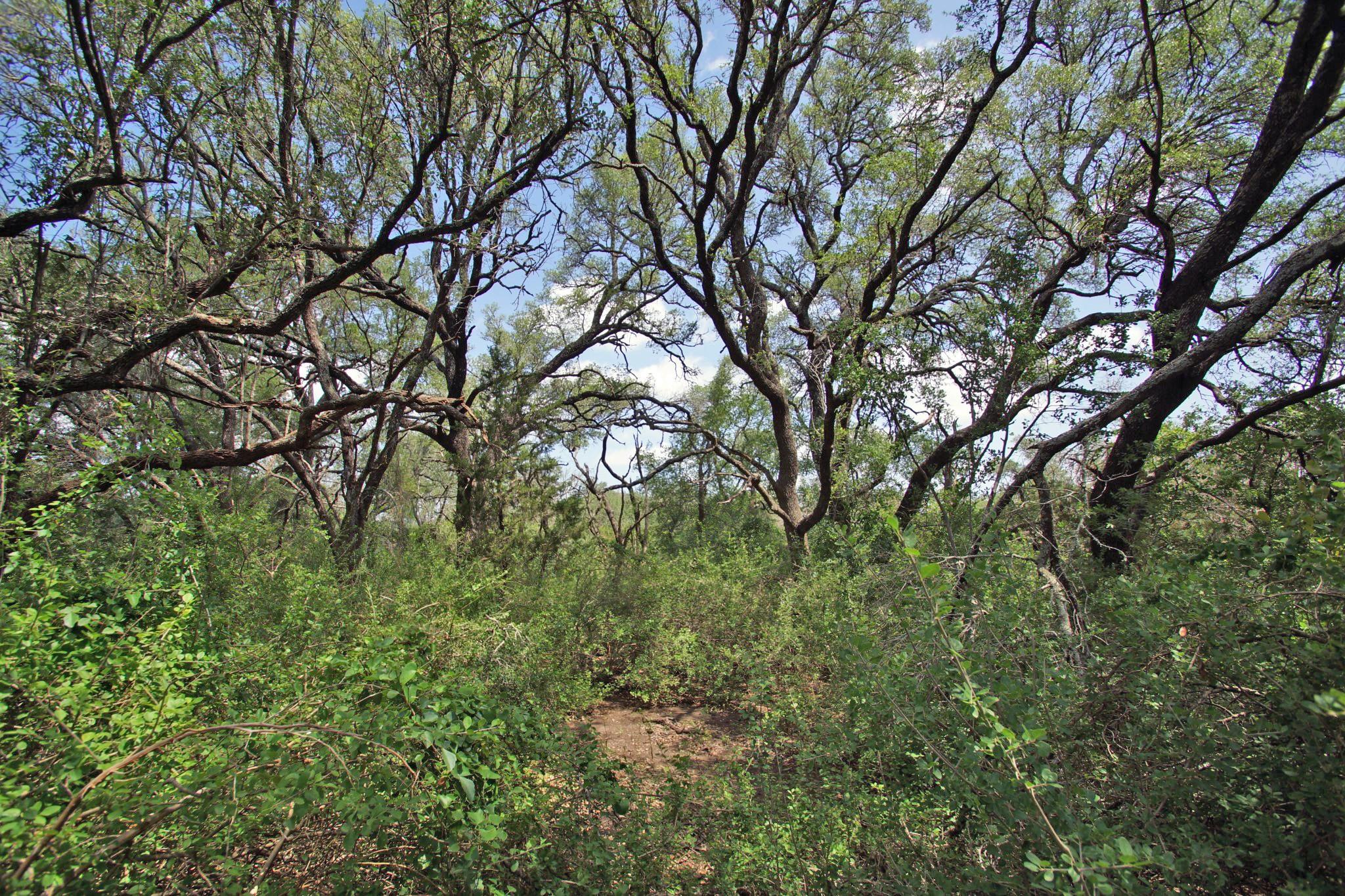 2002 County Road 276 Bertram TX 78605
