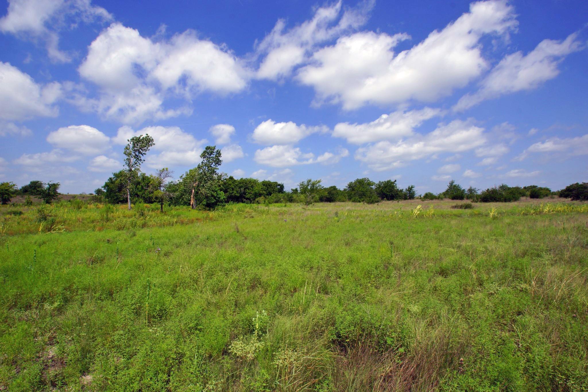 2002 County Road 276 Bertram TX 78605