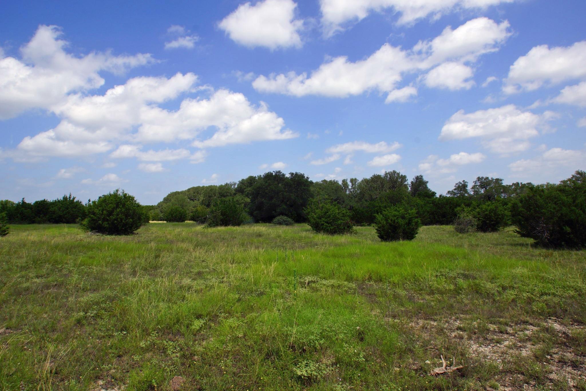 2002 County Road 276 Bertram TX 78605