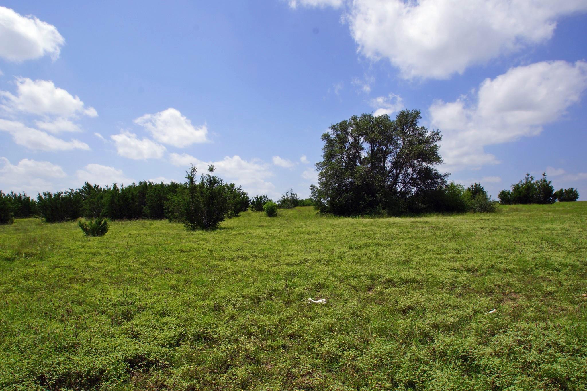 2002 County Road 276 Bertram TX 78605