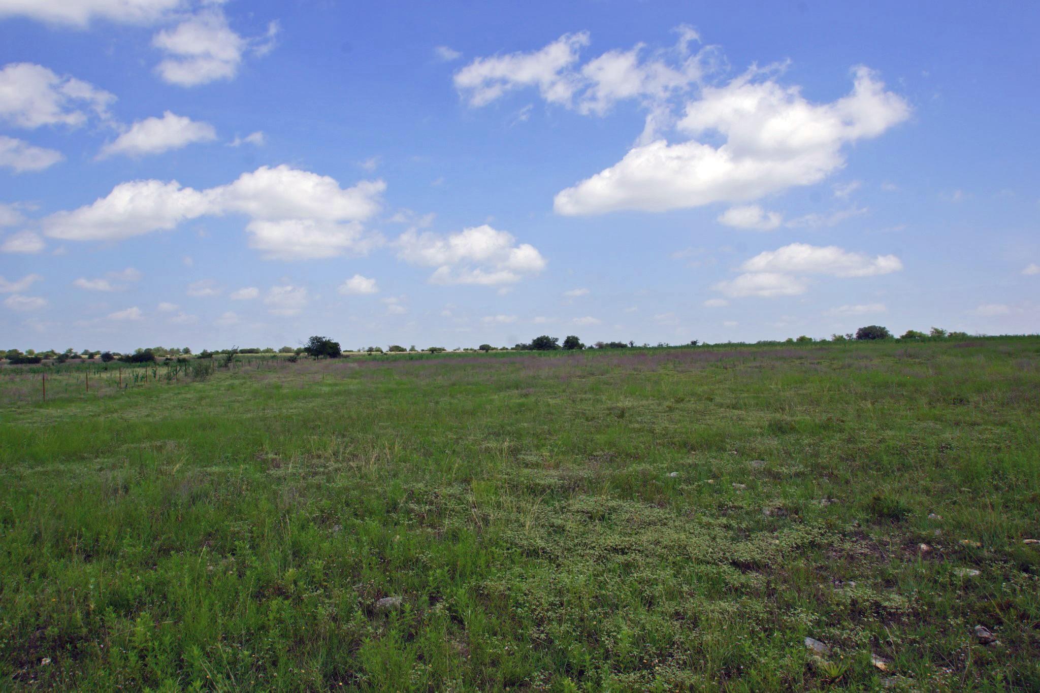 2002 County Road 276 Bertram TX 78605