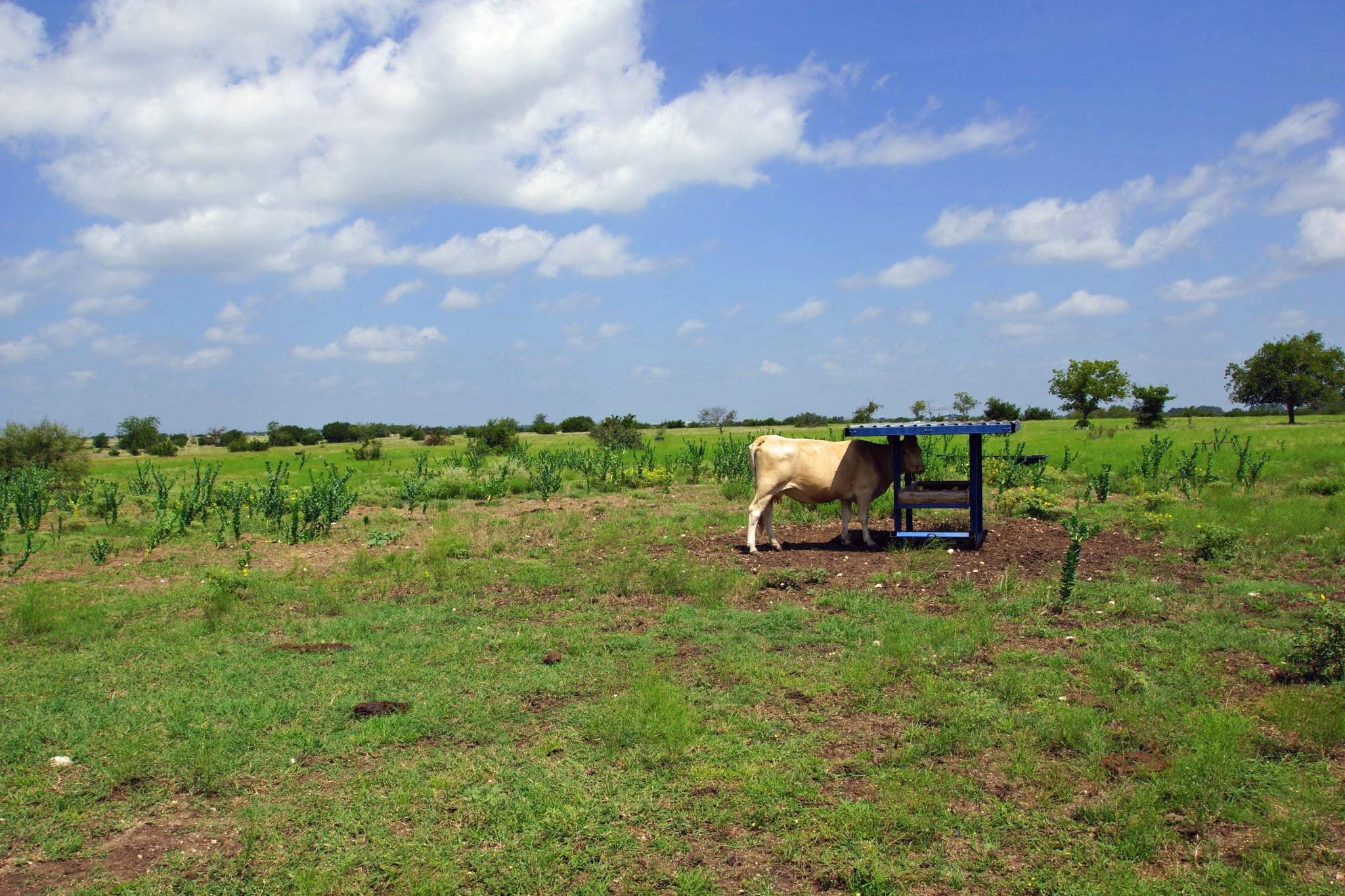 2002 County Road 276 Bertram TX 78605