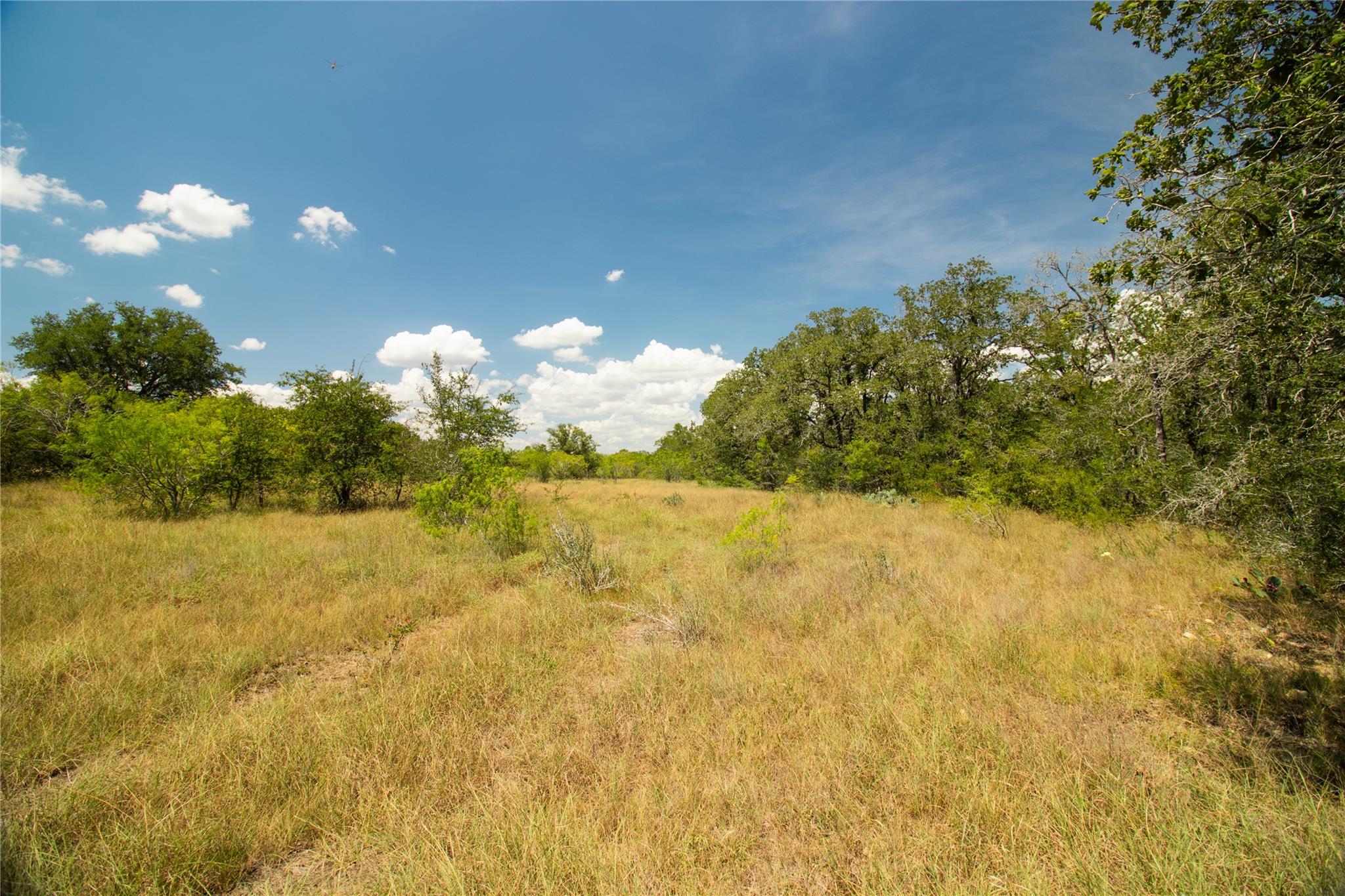 9421 Sycamore Shade Lane Kingsbury TX 78638