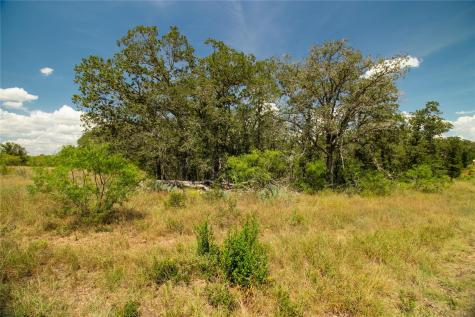 9421 Sycamore Shade Lane Kingsbury TX 78638