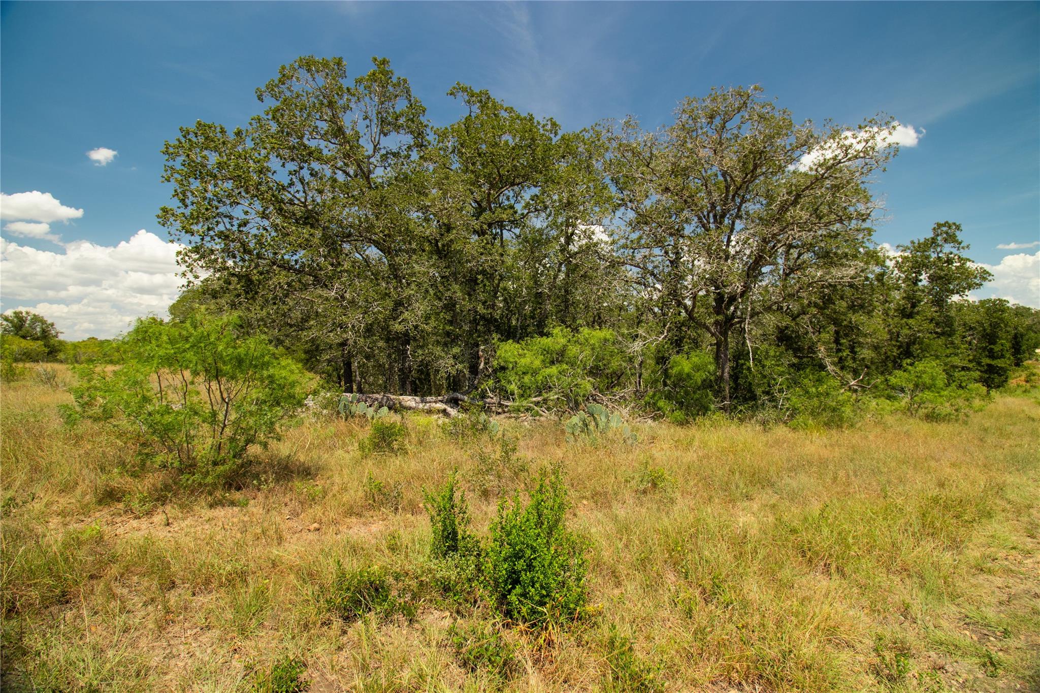 9421 Sycamore Shade Lane Kingsbury TX 78638
