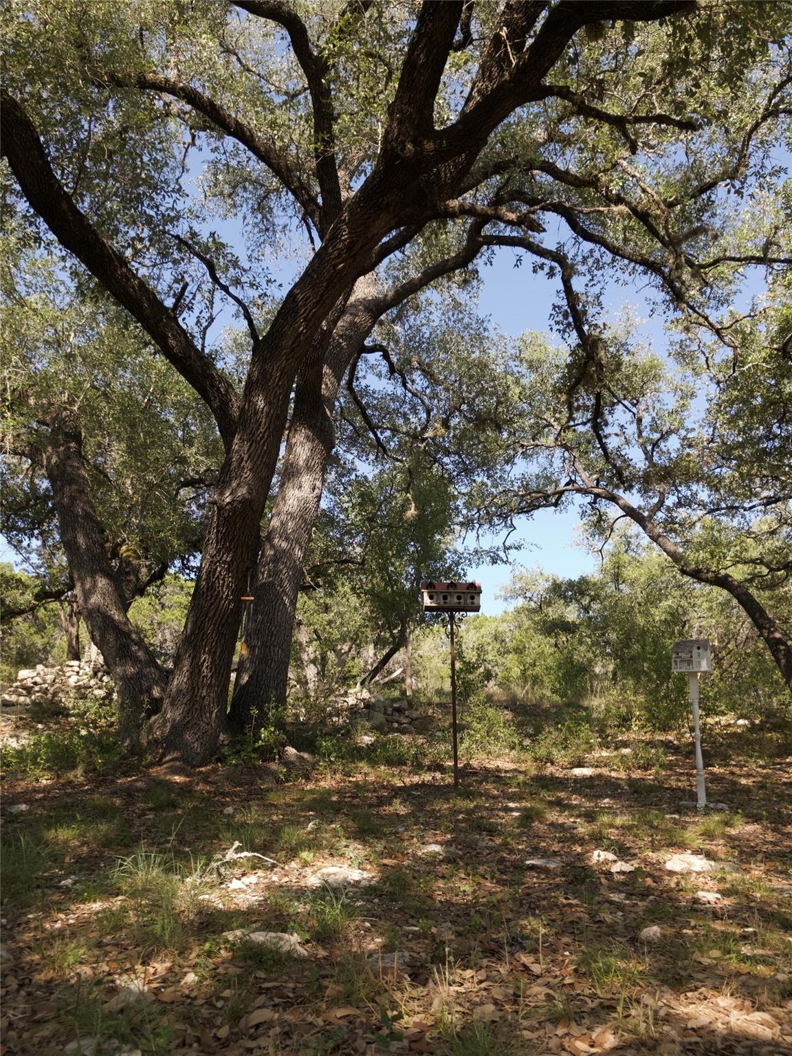 101 Hillview Trail Dripping Springs TX 78620