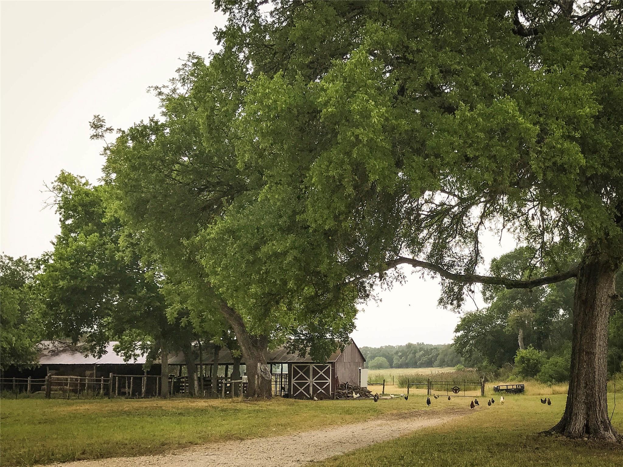 101 Hillview Trail Dripping Springs TX 78620