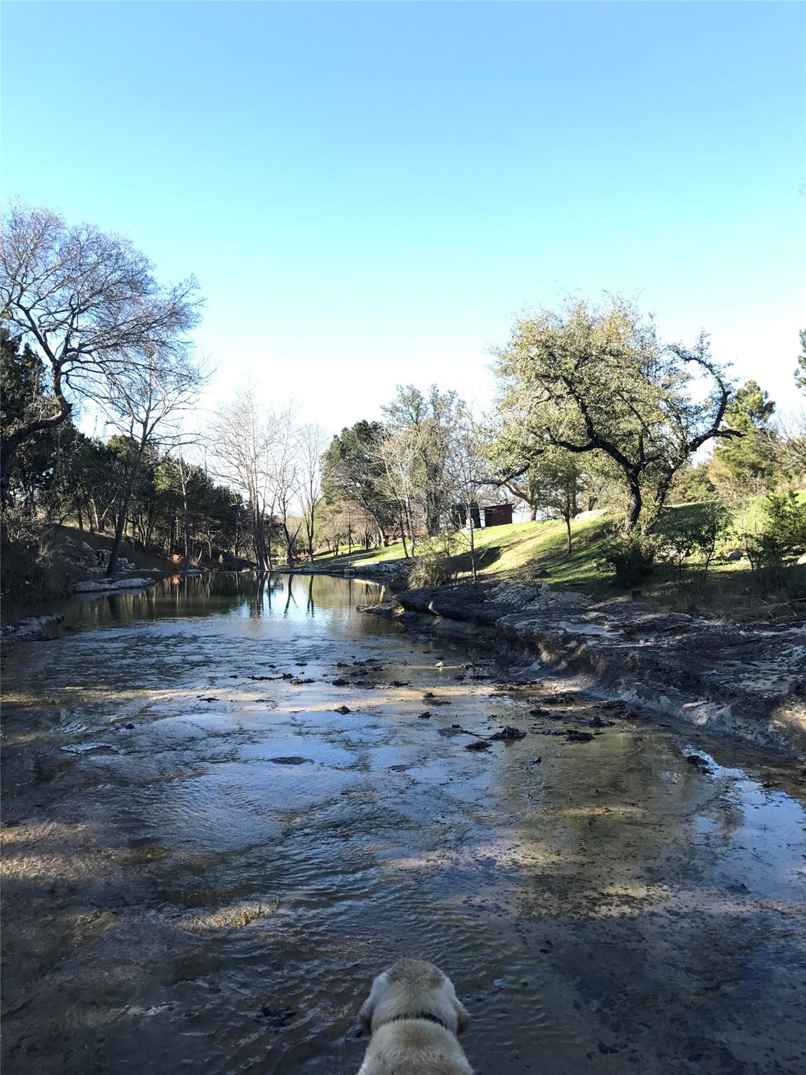 101 Hillview Trail Dripping Springs TX 78620