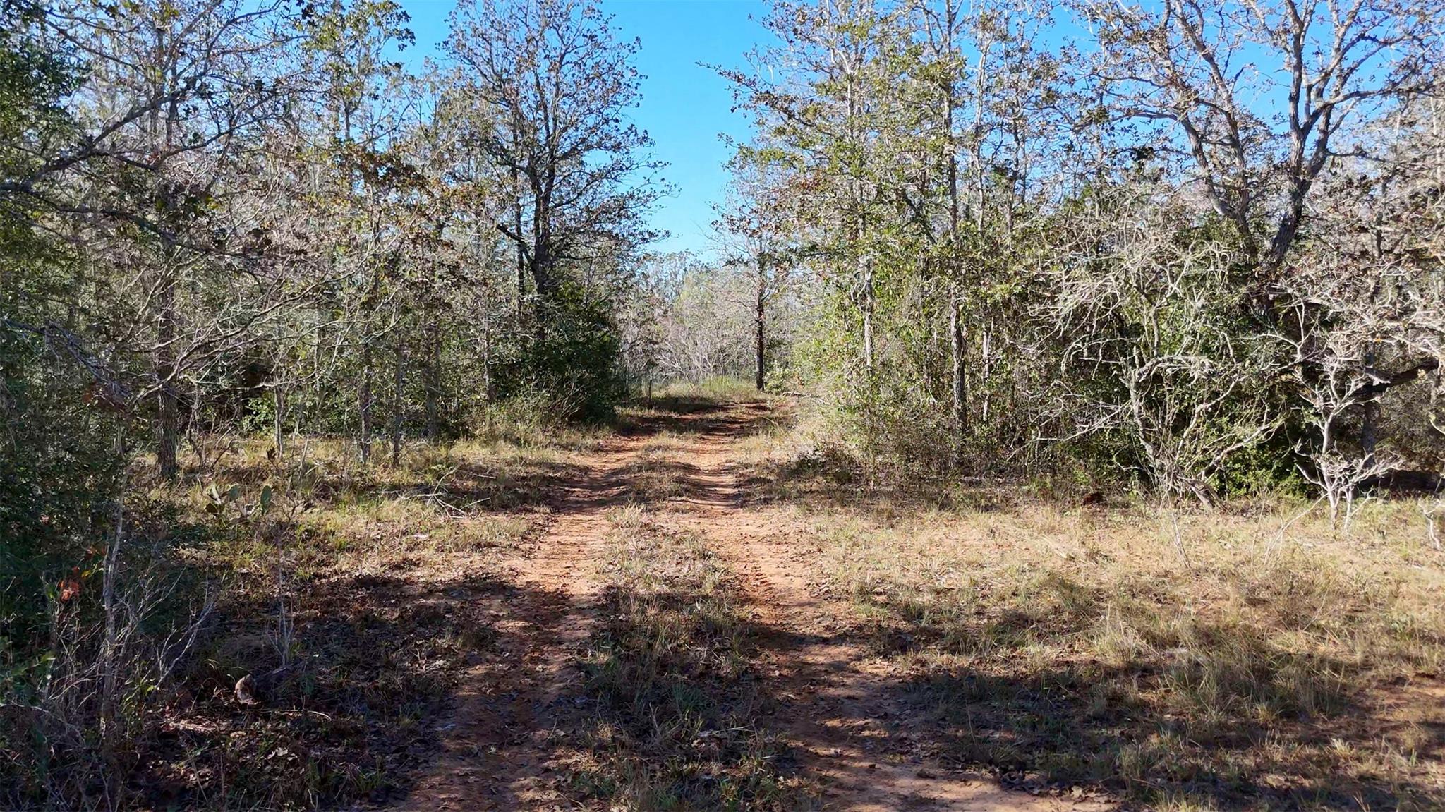 7180 Cr 283 Harwood TX 78632