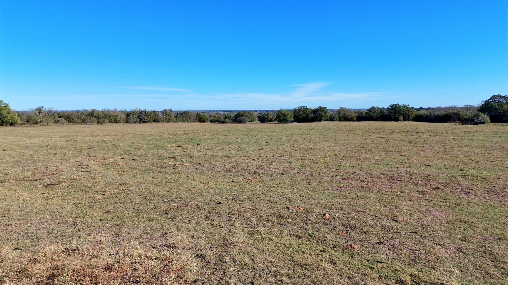7180 Cr 283 Harwood TX 78632