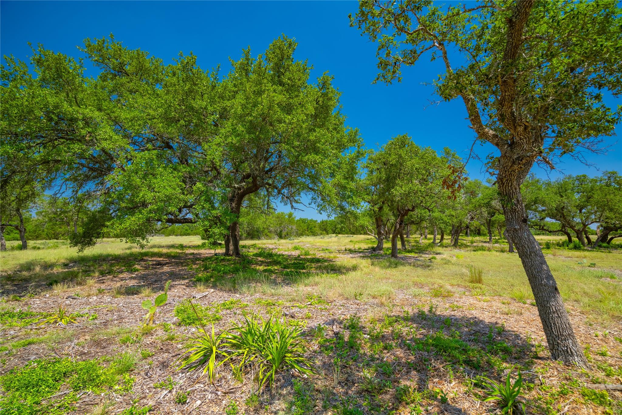 Ranch #6 Liberty Ranch Road Austin TX 78737