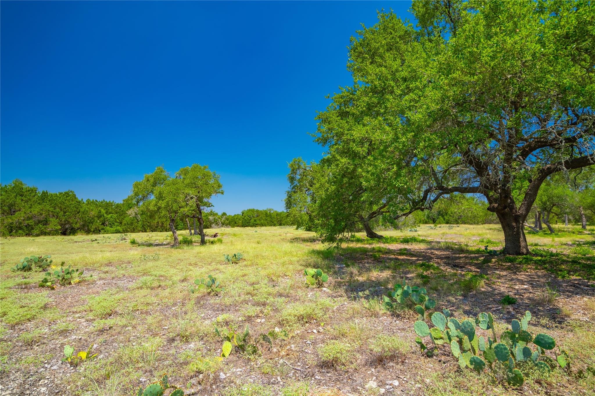 Ranch #6 Liberty Ranch Road Austin TX 78737