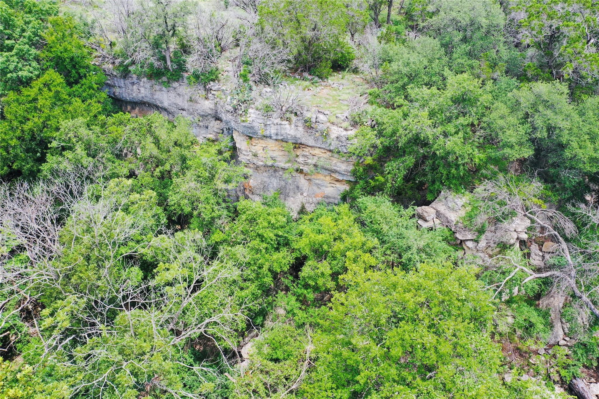 23601 Old Ferry Road Spicewood TX 78669