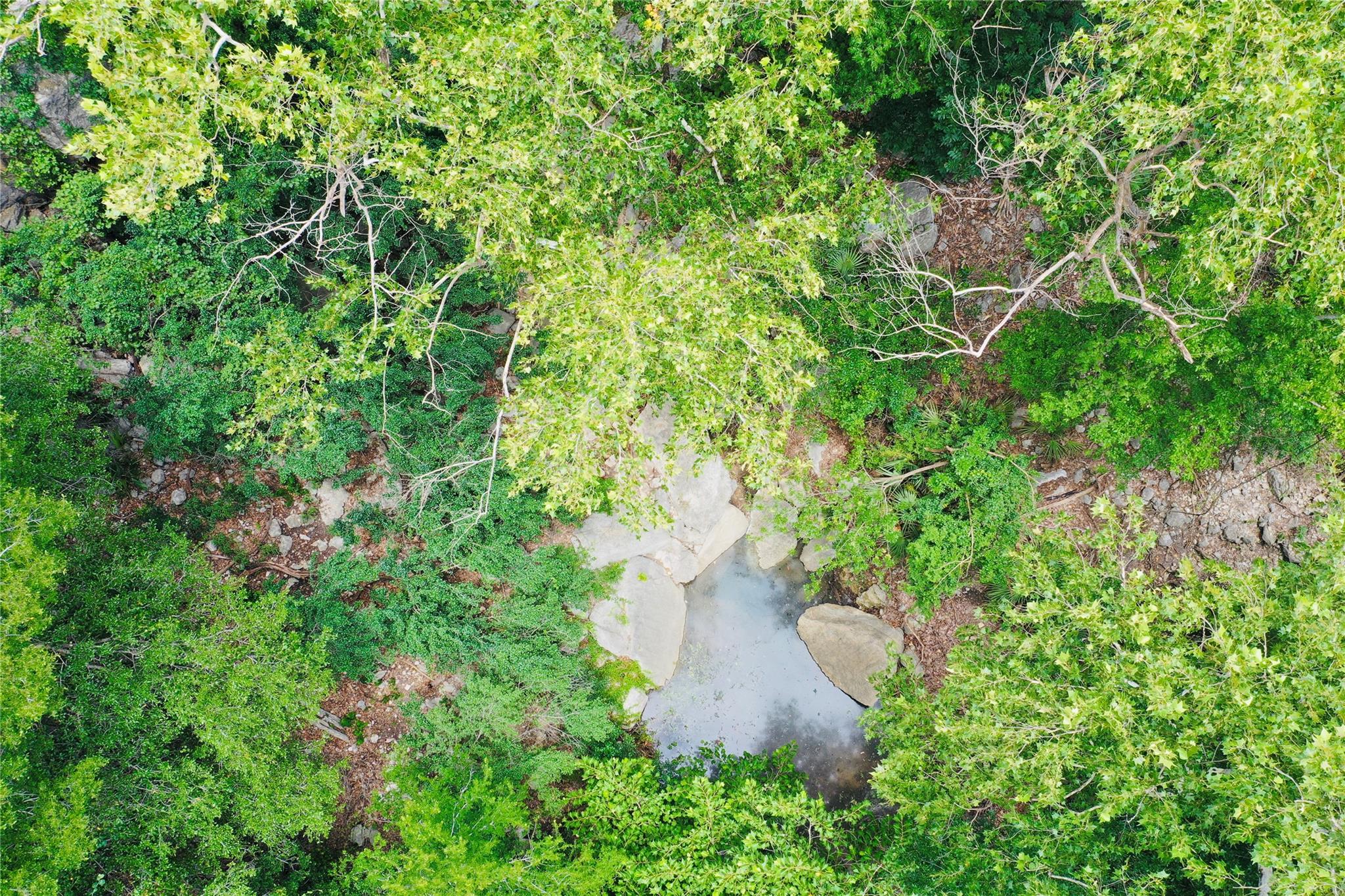 23601 Old Ferry Road Spicewood TX 78669