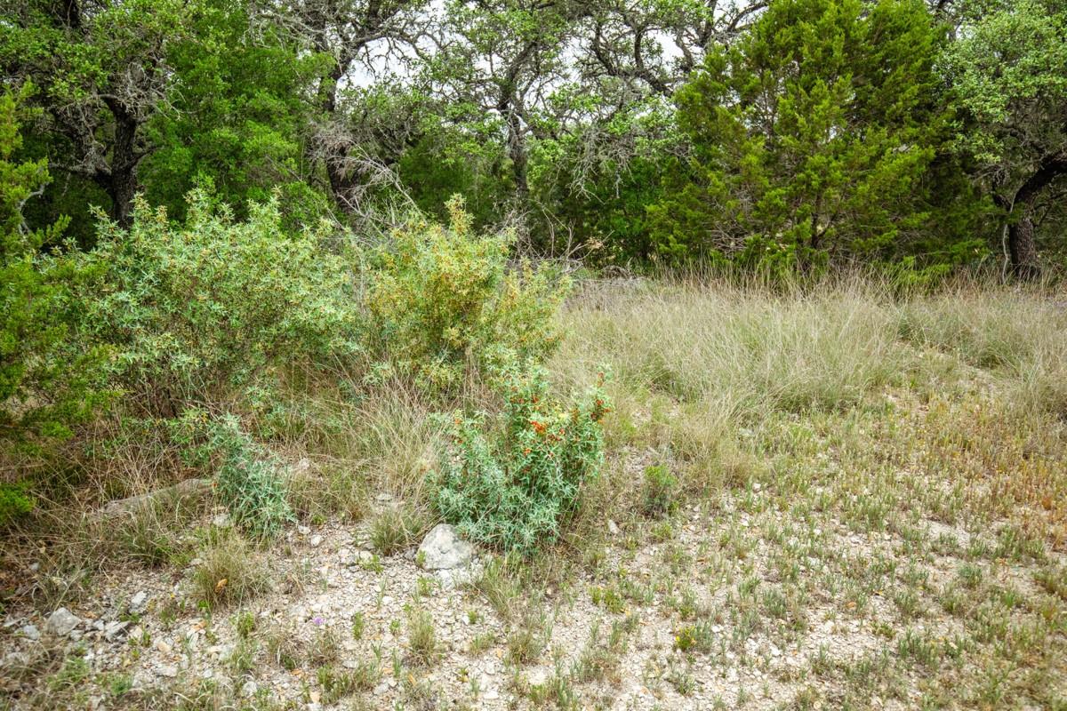 Lot 1 B Seven Hills Drive Junction TX 76849