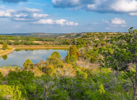 518 Curly H Ranch Road Dripping Springs TX 78620