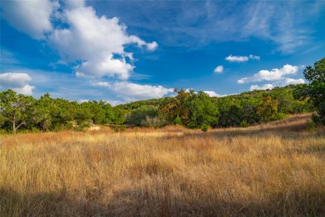 518 Curly H Ranch Road Dripping Springs TX 78620