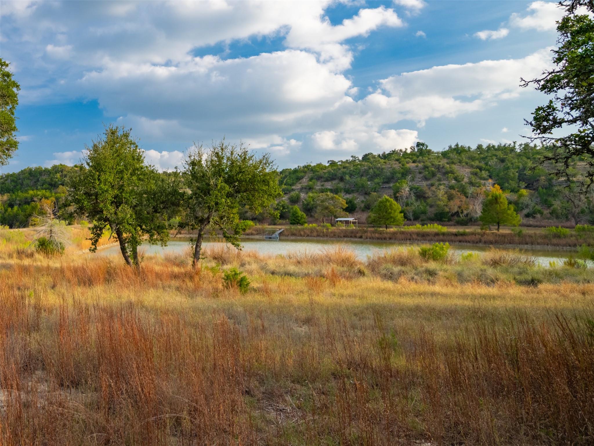 518 Curly H Ranch Road Dripping Springs TX 78620