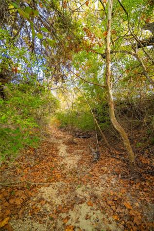 518 Curly H Ranch Road Dripping Springs TX 78620