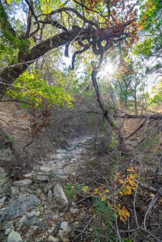 518 Curly H Ranch Road Dripping Springs TX 78620