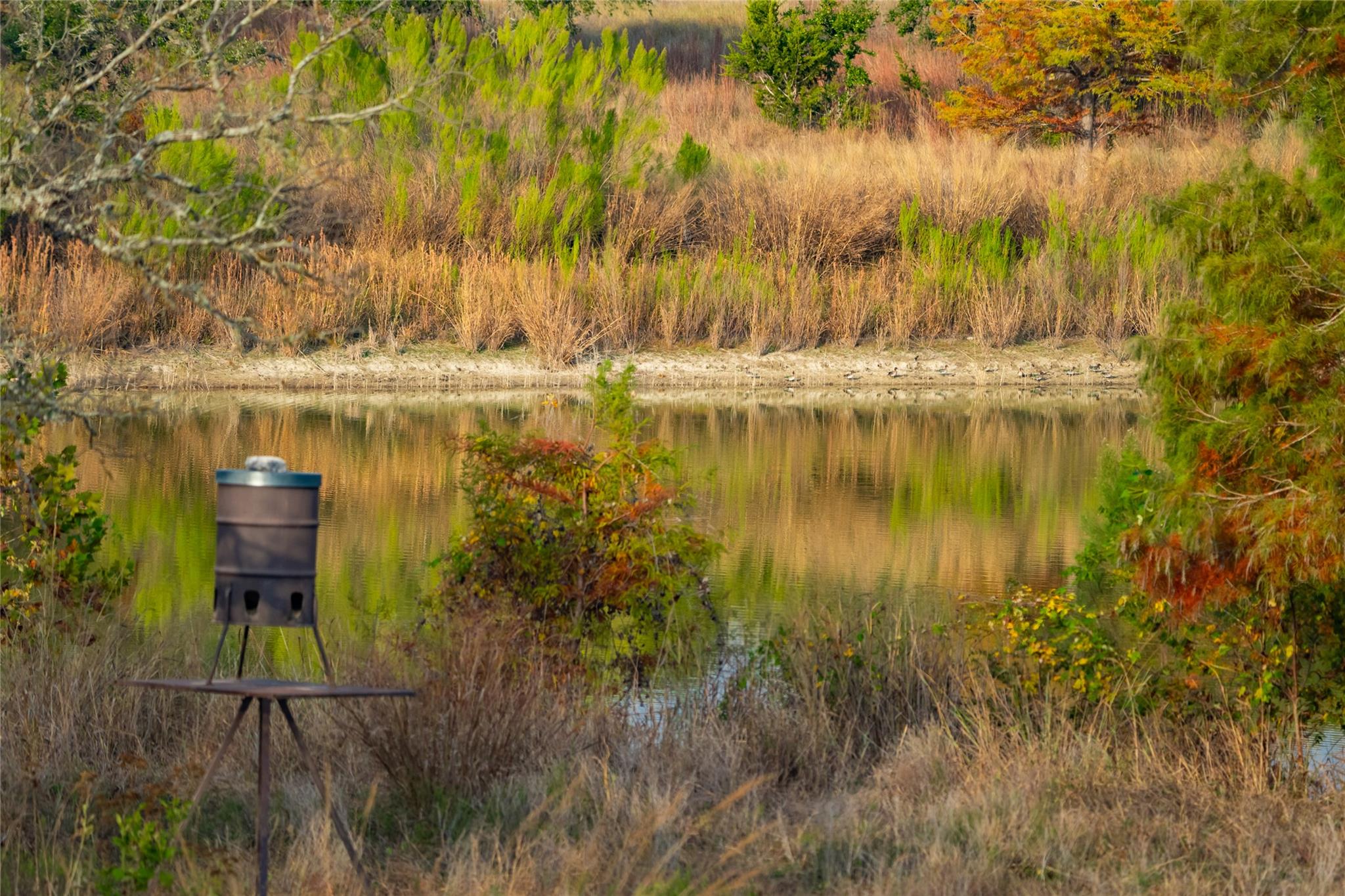 518 Curly H Ranch Road Dripping Springs TX 78620