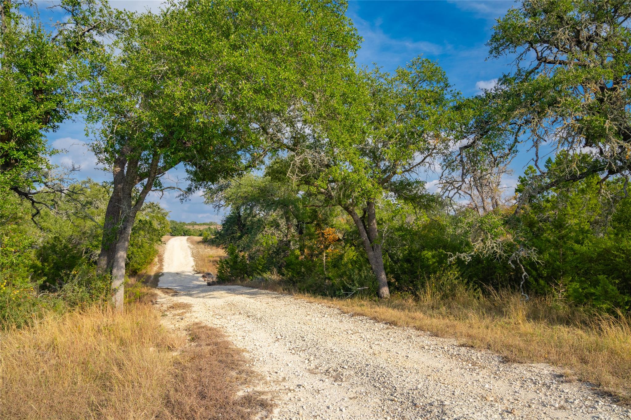 518 Curly H Ranch Road Dripping Springs TX 78620