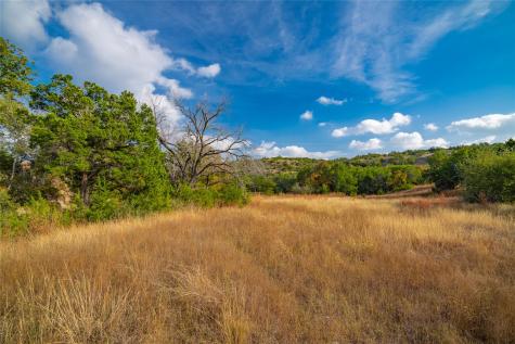 518 Curly H Ranch Road Dripping Springs TX 78620