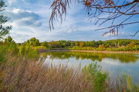 518 Curly H Ranch Road Dripping Springs TX 78620