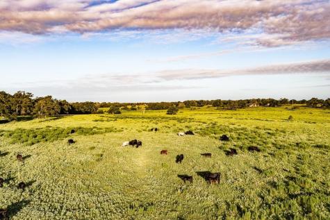 2993 County Road 320 Lexington TX 78947