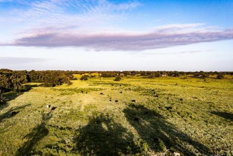 2993 County Road 320 Lexington TX 78947