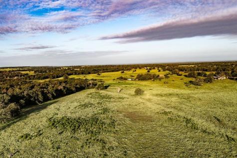 2993 County Road 320 Lexington TX 78947
