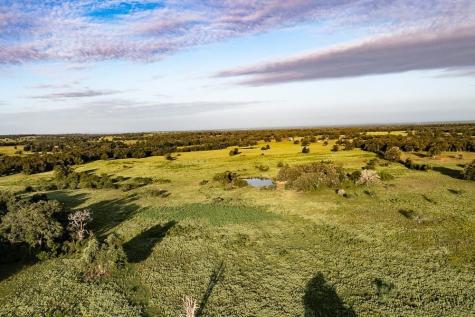 2993 County Road 320 Lexington TX 78947