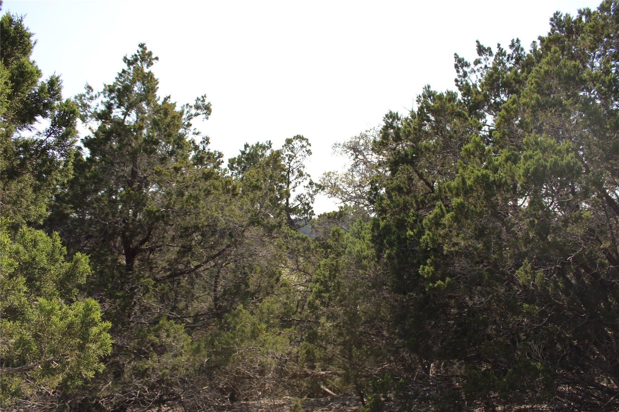 251 Serenity Fischer TX 78623