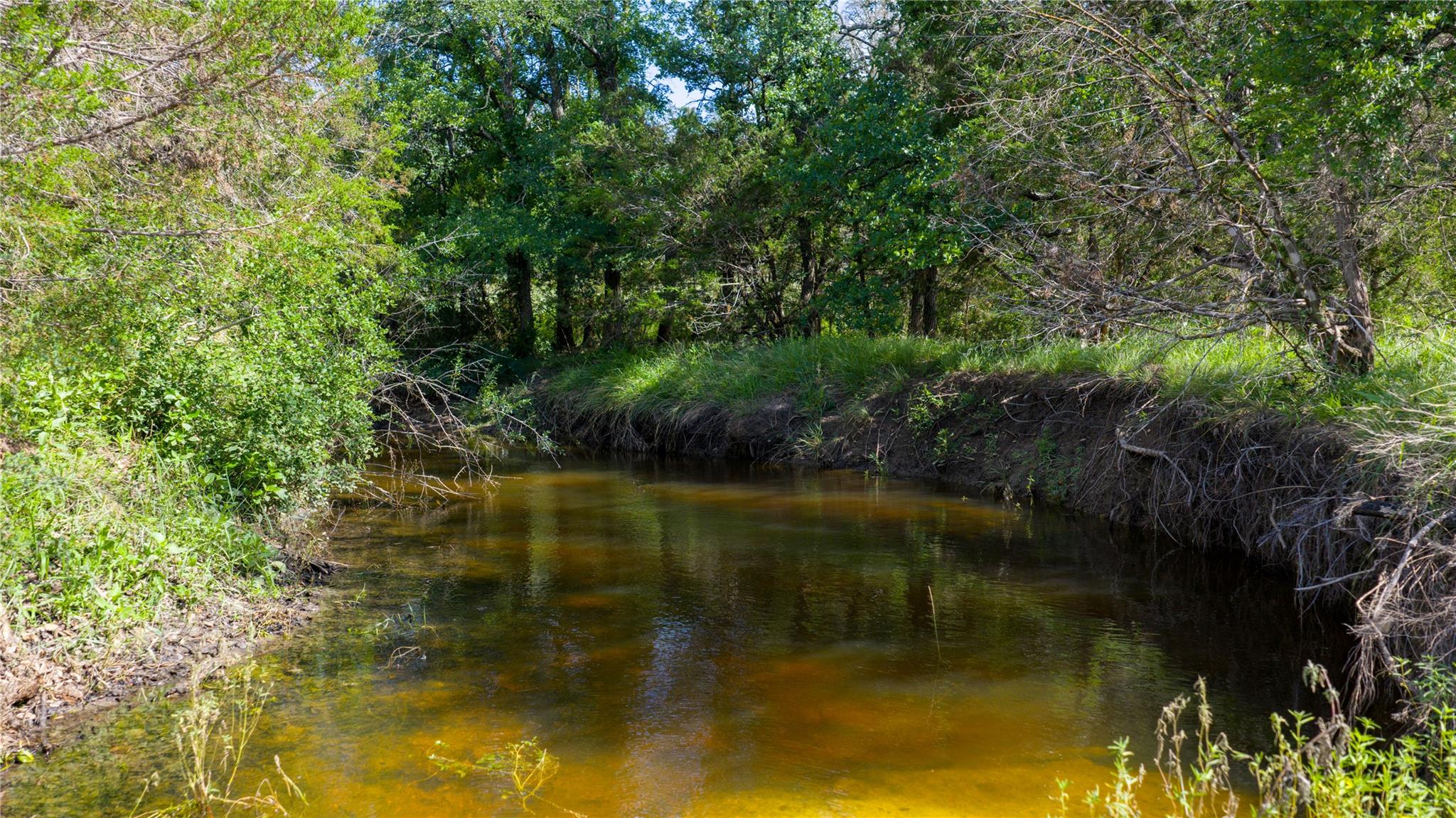 000 County Road 180 Road Purmela TX 76566