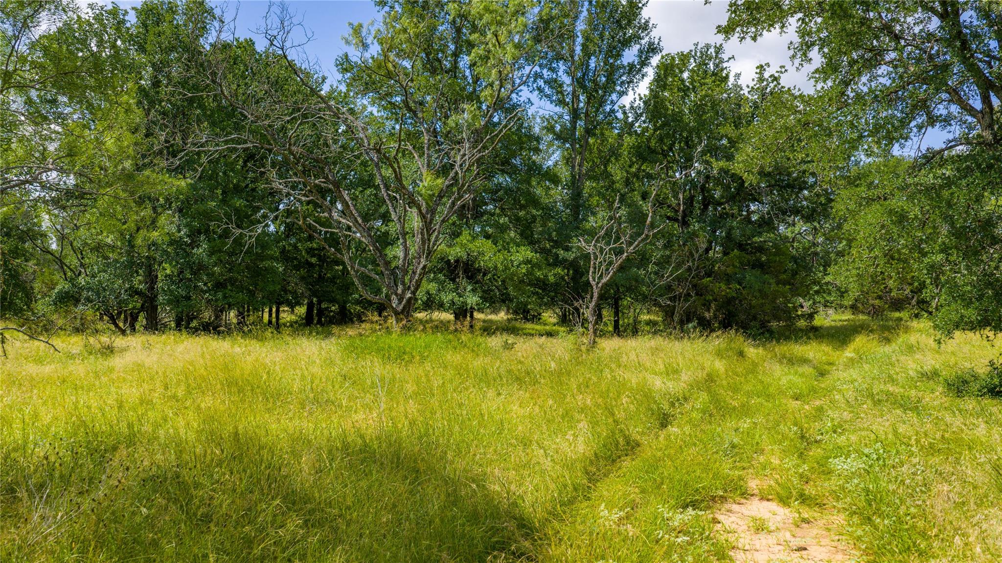 000 County Road 180 Road Purmela TX 76566